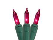 Set of 140 Pinkish Purple Everglow Chasing Mini Christmas Lights - Green Wire Set of 140 Pinkish Purple Everglow Chasing Mini Christmas Lights - Green Wire