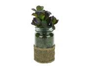 UPC 257554236397 product image for Artificial Potted Jade Succulent Plant in Glass Jar with Burlap Grip 7.5