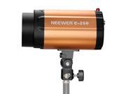 NEEWER Smart 250SDI 250W Photography Strobe Flash Studio Light Lamp Head 110V for DSLR Camera GN48 Aluminum Housing