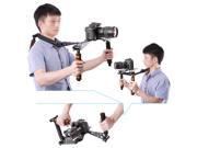 Neewer Aluminium Alloy Foldable Rig Movie Kit Film Making System Shoulder Mount Support Rig Stabilizer for DSLR Camera and Camcorder Such as Canon Nikon D7100 D