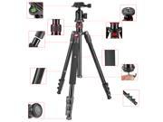Neewer Portable 62 158cm Alluminum Alloy Camera Tripod with 360 Degree Ball Head 1 4 Quick Release Plate and Bubble Level Load capacity 17.6lbs 8kg