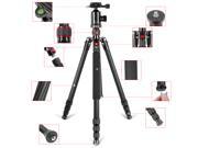 Neewer Lightweight Portable 66 168cm Carbon Fiber Camera Tripod Monopod with 360 Degree Ball Head and Bubble Level Load Capacity 26.5lbs 12kg