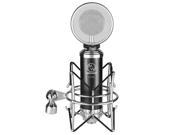 Neewer NW 500 Professional Condenser Microphone Kit 1 Condenser Microphone 1 Integrated Metal Pop Filter 1 Shock Mount 1 3.5MM to XLR Microphone