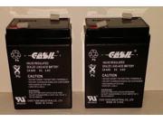 2 6V 4AH CASIL CA640 for APC Back UPS 250 Battery