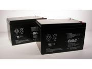 2 Casil 12v 12ah F2 Lead Battery UPS Battery for Lightguard 4245139800