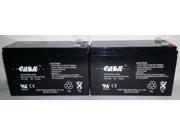 (2) Casil CA1290 12v 9ah for Altronix AL62424C 12V, 9Ah Lead Acid Battery (2) Casil CA1290 12v 9ah for Altronix AL62424C 12V, 9Ah Lead Acid Battery