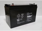 12v 100ah for Ever Green EPL 150WHS Power System