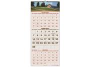 At A Glance Recycled Scenic Wall Calendar