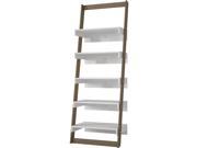 Carpina Ladder Shelf