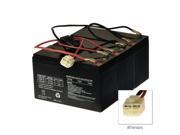 Razor ECO Metro Smart Replacement Batteries and Wiring Harness W13114501003. Your Existing Harness is Soldered on the Batteries and Cannot be Reused!