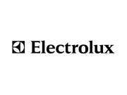 242093009 Electrolux Ice conainer assy