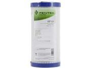 Pentek 155548 43 10 x4.5 EP BB Carbon Briquette 5 Micron Filter