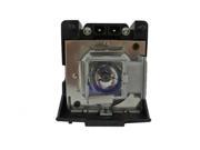 Lamp Housing for the Planar PD8130 Projector 150 Day Warranty