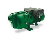 Fe Myers QD100S Shallow Well Jet Pump QD Series 1 HP 115 230 Volts Cast Iron Body