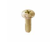 Ez Flo 32951 Brass Handle and Bibb Screw Chrome