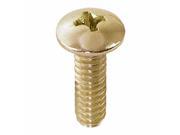 Ez Flo 32955 Brass Handle and Bibb Screw Chrome