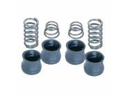 Ez Flo 32120 Spring and Seal Kit Long and Short 8 Pieces