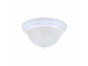 Ez Flo 59311 11 Frosted Glass Ceiling Dome White Trim