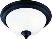 Hardware House 54 5061 WT 2 Light Tuscany Ceiling Fixture Textured Black