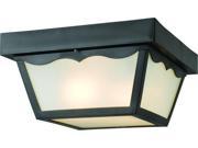 Hardware House Electrical 54 4916 EXT Outdoor Porch Ceiling Light Fixture Black