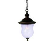 Hardware House Electrical 54 4098 Outdoor Hang Coach Lamp Classic Bronze