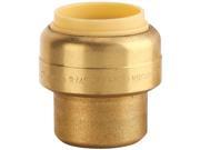 Premier 3562625 Brass Push Fit End Stop 3 4 In. Lead Free