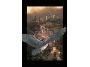 Wizarding World Of Harry Potter Poster 24x36