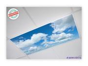 Cloud Decorative Fluorescent Light Cover. These decorative light covers are great for event companies hospital waiting rooms dentist offices schools educati