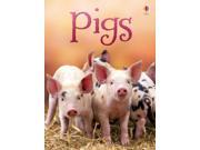 Pigs Beginners Hardcover