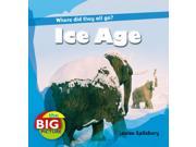 Ice Age Big Picture The Big Picture Hardcover