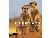 Meerkats Hardcover
