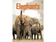 Elephants Usborne Beginners Hardcover