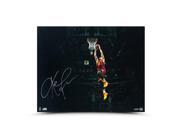 KEVIN LOVE Signed Arena View Photo UDA