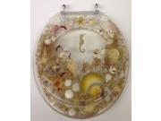 JEWEL SHELL SEASHELL AND SEAHORSE RESIN TOILET SEAT CHROME HINGES ELONGATED CLEAR
