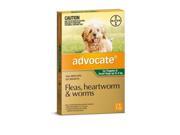Advocate 1 Pack Small Dogs under 4kg