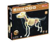 4D Full Skeleton Dog Model