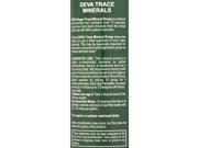 Vegan Trace Mineral Drops - Deva Vegan - 8 fl oz - Liquid