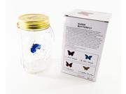Butterfly Collection Animated Butterfly in a Jar Blue Morpho Butterfly