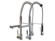 FREUER Professionista Collection Pull Down Spray Kitchen Sink Faucet Polished Chrome