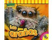 Las araas Spiders SPANISH Insectos Fascinantes AV2 Spanish English eBooks