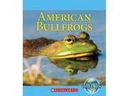American Bullfrogs Nature s Children