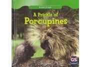 A Prickle of Porcupines Animal Groups