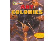 Ant Colonies Animal Armies