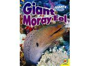 Giant Moray Eel Giants of the Ocean