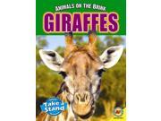 Giraffes Animals on the Brink