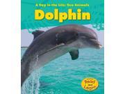 Dolphin A Day in the Life Sea Animals