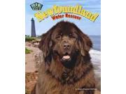 Newfoundland Big Dogs Rule