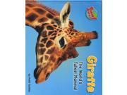 Giraffe The World s Tallest Mammal Supersized!
