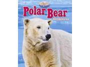 Polar Bear Built for Cold Arctic Animals