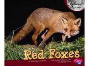 Red Foxes Pebble Plus